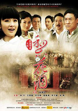 梨花泪第31集