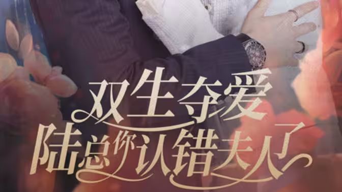 双生夺爱陆总你认错夫人了第06集