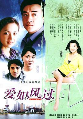 爱如风过第13集