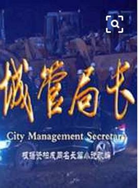 城管局长第15集
